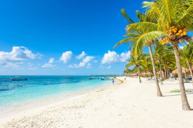 Akumal plaj tekne ve turistler, Meksika.