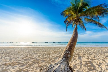 Playa Paraiso beach adlı gündoğumu, Tulum, Meksika.