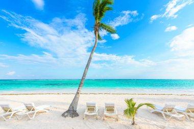 Güneş şezlong Akumal Beach, Quintana Roo, Meksika.