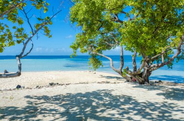 Güney su Caye - Barrier Reef ile Cennet plaj, Karayip Denizi, Belize, Orta Amerika, küçük tropik ada.
