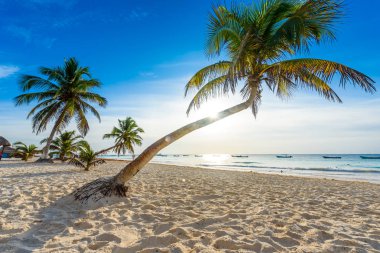 Playa Paraiso beach adlı gündoğumu, Tulum, Meksika.
