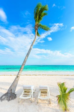 Güneş şezlong Akumal Beach, Quintana Roo, Meksika.