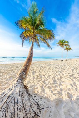 Playa Paraiso beach adlı gündoğumu, Tulum, Meksika.