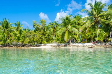 Belize Cayes - küçük tropikal Adası'nda Barrier Reef paradise beach, Karayip Denizi, Belize, Orta Amerika ile