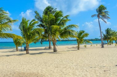 Paradise beach in Placencia, tropical coast of Belize, Caribbean Sea, Central America. clipart