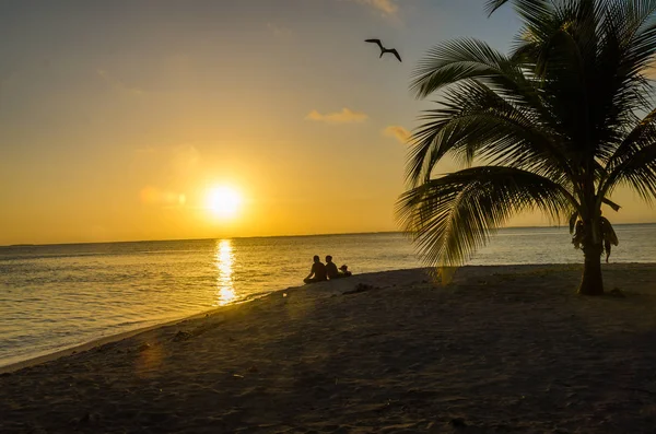 Solnedgång Vid Södra Vatten Caye Liten Tropisk Barriärrevet Karibiska Havet — Stockfoto