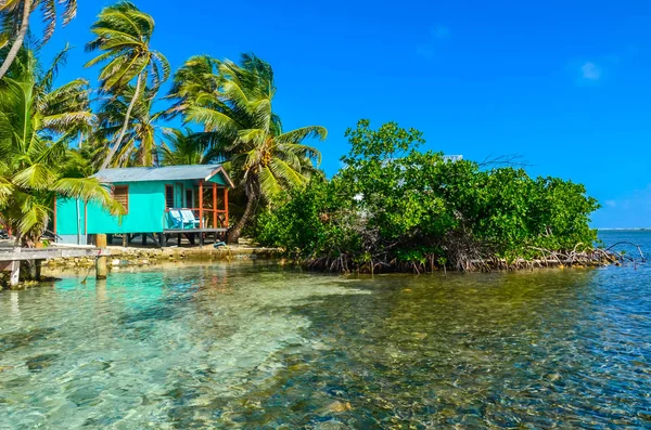 Tobacco Caye Bungalow Sur Petite Île Tropicale Barrier Reef Avec — Photo