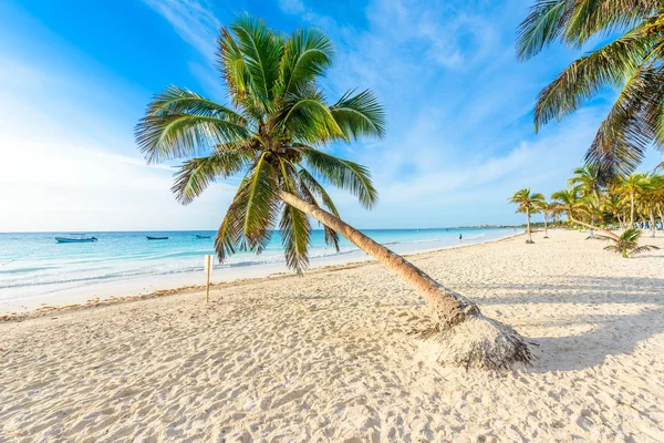 Playa Paraiso Strandra Napkeltekor Tulum Mexikó — Stock Fotó