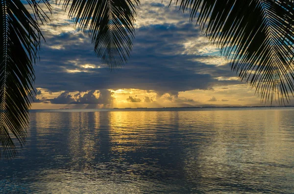 Puesta Sol South Water Caye Pequeña Isla Tropical Barrier Reef — Foto de Stock