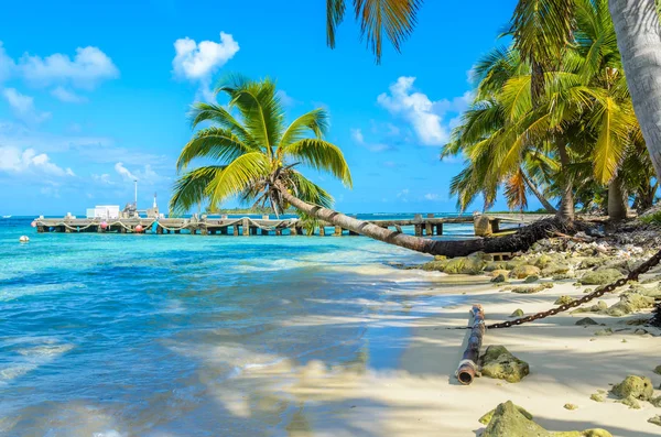 Paradise Strand Sziget Carrie Cay Állomás Területén Karib Tenger Belize — Stock Fotó