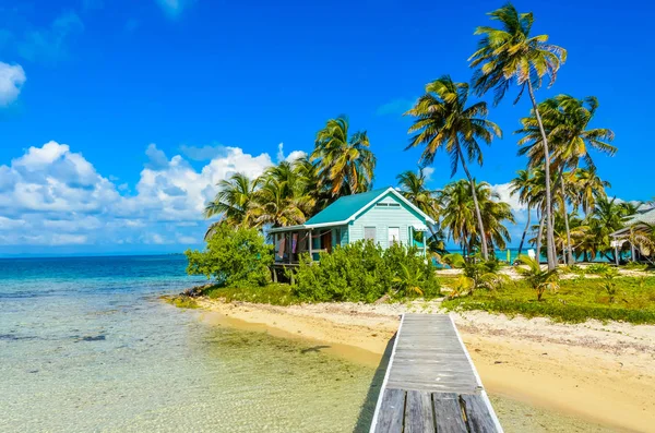 Rajská Pláž Ostrově Carrie Bow Cay Pole Station Karibské Moře — Stock fotografie