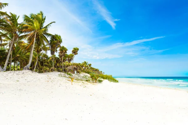 Paradise Beach Beautiful Palm Trees Caribbean Sea Mexico Tulum — Stock Photo, Image