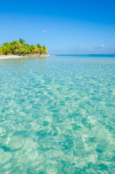 South Water Caye Piccola Isola Tropicale Barriera Corallina Con Spiaggia — Foto Stock