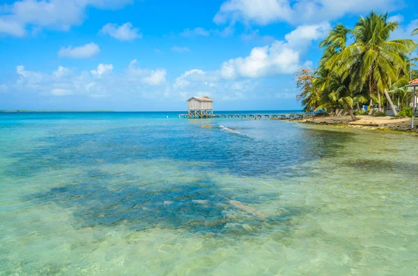 Tobacco Caye Piccola Isola Tropicale Barriera Corallina Con Spiaggia Paradisiaca — Foto Stock