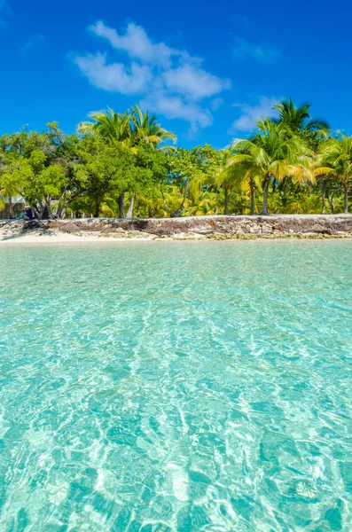 Zuid Water Caye Tropische Eilandje Barrier Reef Met Paradijs Strand — Stockfoto