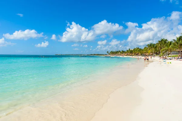 Paradise Schildpad Strand Bij Akumal Quintana Roo Mexico — Stockfoto