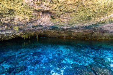 Hipotermik Dos Ojos Quintana Roo, Meksika için. Bu hipotermik Tulum, Meksika Yucatan Yarımadası'nda yakınında bulunuyor.