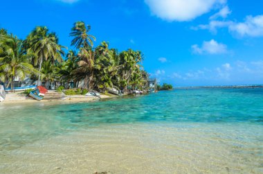 Tütün Caye - Barrier Reef ile Cennet plaj, Karayip Denizi, Belize, Orta Amerika, küçük tropik ada.