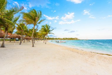 Cennet Turtle Beach adlı Akumal, Quintana Roo, Meksika.
