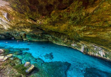 Hipotermik Dos Ojos Quintana Roo, Meksika için. Yüzme ve şnorkel masmavi suda insanlar. Bu hipotermik Tulum, Meksika Yucatan Yarımadası'nda yakınında bulunuyor.
