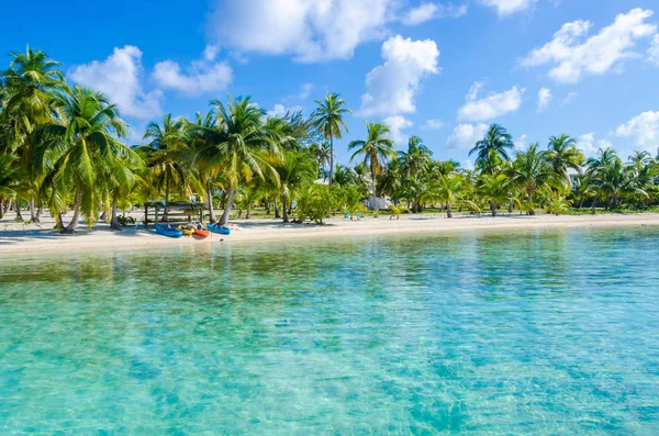 Jižní Vodní Caye Malý Tropický Ostrov Bariérovém Útesu Paradise Beach — Stock fotografie
