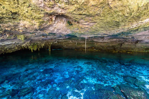 Cenote Dos Ojos Quintana Roo México Este Cenote Encuentra Cerca — Foto de Stock