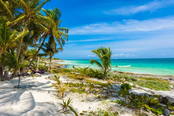 Hammock Palm Trees Paradise Beach Quintana Roo Mexico — Stock Photo, Image