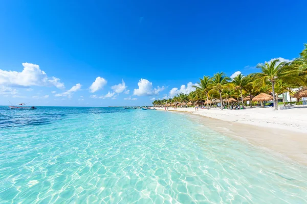 Paradise Schildpad Strand Bij Akumal Quintana Roo Mexico — Stockfoto