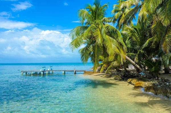 Tobacco Caye Träbrygga Liten Tropisk Barriärrevet Med Paradise Beach Karibiska — Stockfoto