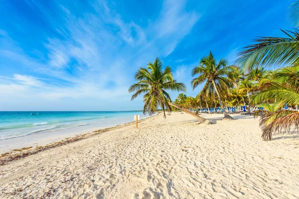 Playa Paraiso Stranden Vid Soluppgången Tulum Mexiko — Stockfoto