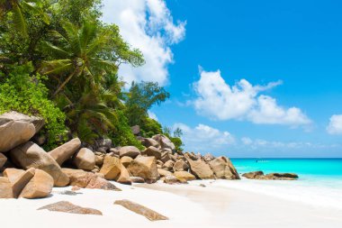 Cennet plaj - Anse Georgette Praslin, Seyşel Adaları, temizleyin.