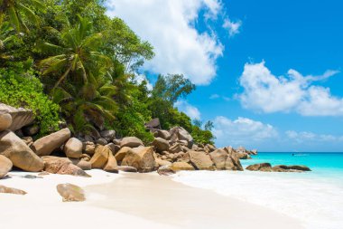 Cennet plaj - Anse Georgette Praslin, Seyşel Adaları, temizleyin.