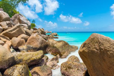 Cennet plaj - Anse Georgette Praslin, Seyşel Adaları, temizleyin.