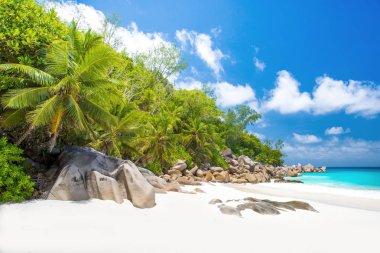 Cennet plaj - Anse Georgette Praslin, Seyşel Adaları.