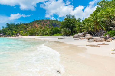 Cennet plaj - Anse Georgette Praslin, Seyşel Adaları, temizleyin.
