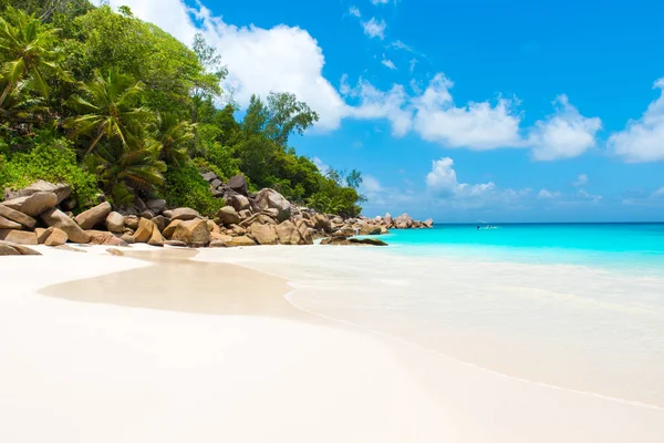 Rensa Paradise Beach Anse Georgette Praslin Seychellerna — Stockfoto