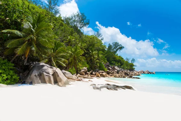 Rensa Paradise Beach Anse Georgette Praslin Seychellerna — Stockfoto