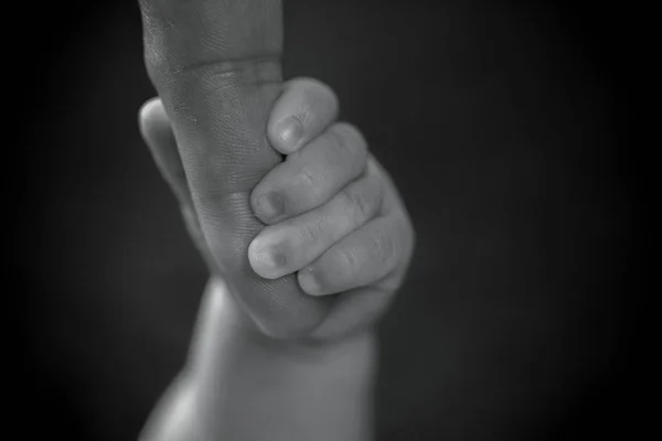 Pasgeboren Baby Bedrijf Vinger Van Vader — Stockfoto