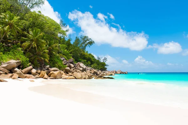 Rensa Paradise Beach Anse Georgette Praslin Seychellerna — Stockfoto