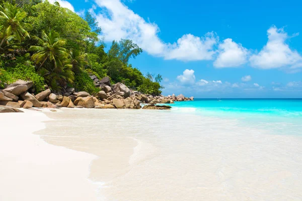 Rensa Paradise Beach Anse Georgette Praslin Seychellerna — Stockfoto