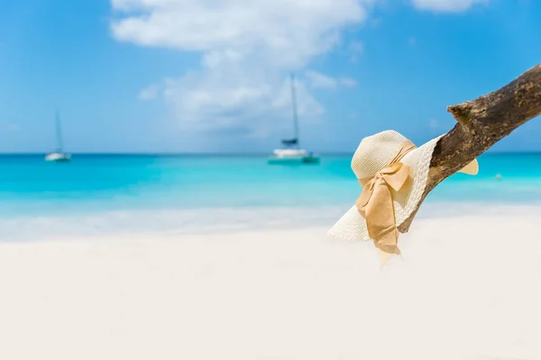 太阳帽在干燥分支在空的海滩与绿松石海 — 图库照片