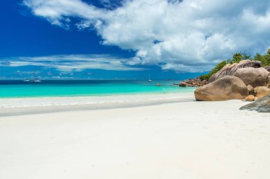 Anse Lazio - Cennet plaj beyaz kum, turkuaz su, zengin yeşil ağaçlar ve taşlar, Seyşel Adaları.