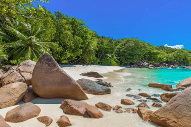 Anse Lazio - Cennet plaj beyaz kum, turkuaz su, zengin yeşil ağaçlar ve taşlar, Seyşel Adaları.