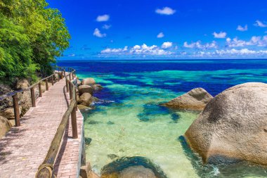 Cennet Sahilinde yalnız yol