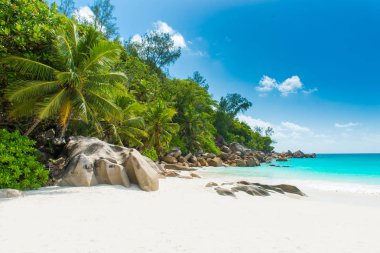 Cennet plaj - Anse Georgette, Praslin, Seyşel Adaları.