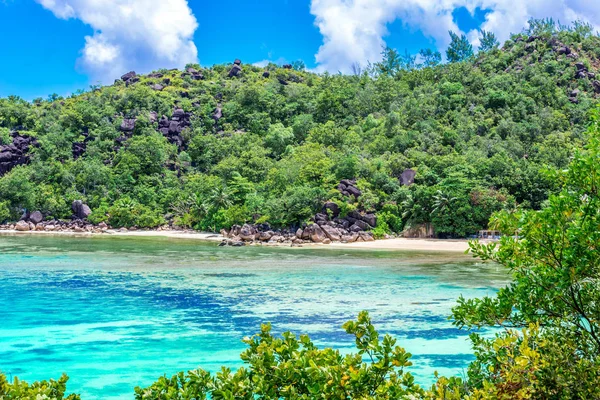 Observando Vista Baía Paradisíaca Praslin Seychelles — Fotografia de Stock