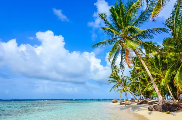 Lonely Beach San Blas Island Kuna Yala Panama — Stock fotografie