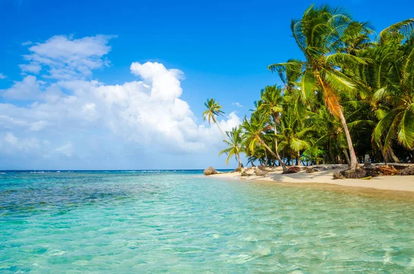 Lonely Beach San Blas Island Kuna Yala Panama — Stock fotografie