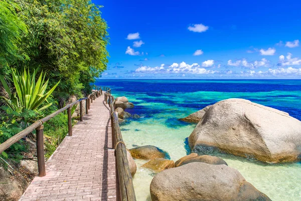 Eenzaam Pad Aan Paradijs Kust — Stockfoto