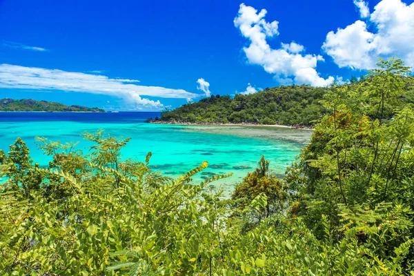 Observando Vista Baía Paradisíaca Praslin Seychelles — Fotografia de Stock